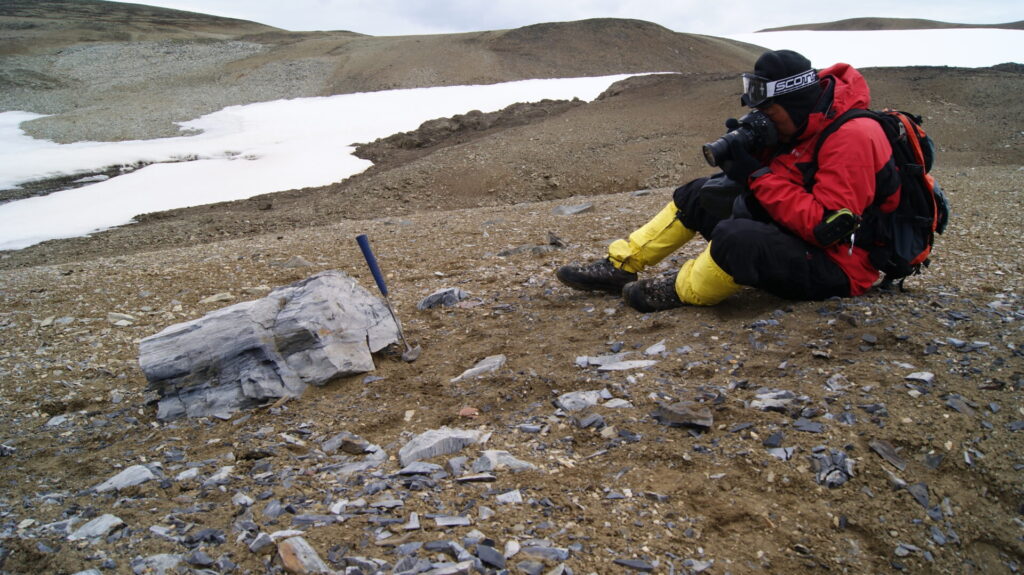 Dr. Harufumi Nishida (Japón) fotografía un tronco fósil de Araucaria en la península Byers, isla Livingston, Antártica. Créditos (CC-BY): Marcelo Leppe.