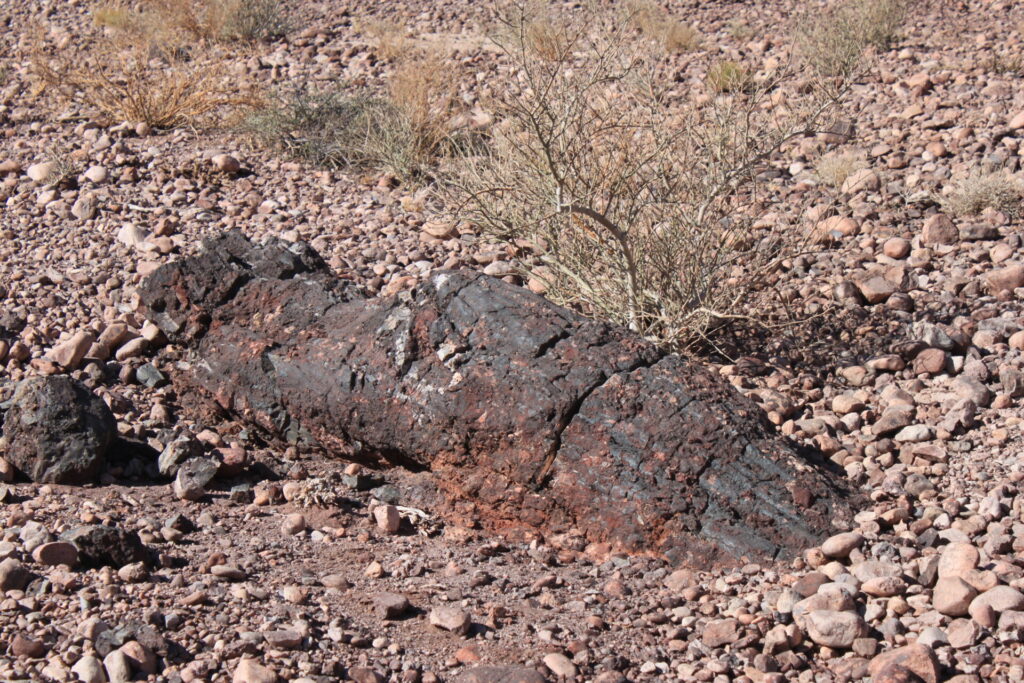 Bosque Petrificado de Darwin, valle de Copiapó. Créditos (CC-BY): Philippe Moisan Tapia.