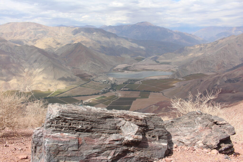 Bosque Petrificado de Darwin, valle de Copiapó. Créditos (CC-BY): Philippe Moisan Tapia.