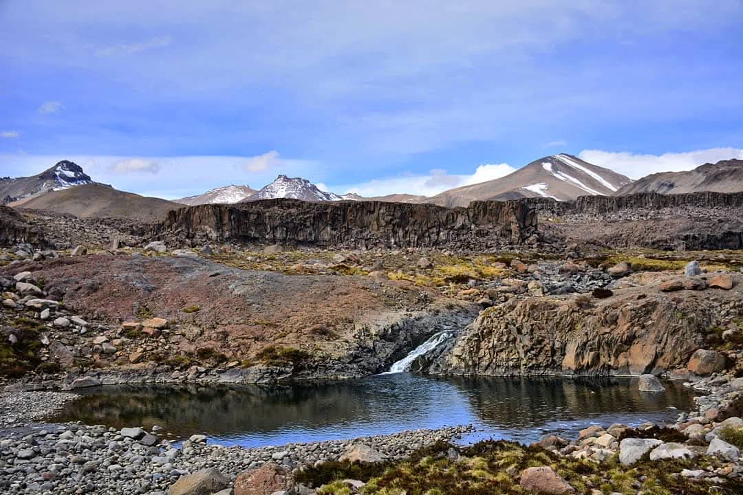 En el hábitat de la ranita que llamó a proteger DiCaprio: Rechazan proyecto que buscaba instalar 72 torres de alta tensión en Alto Maule