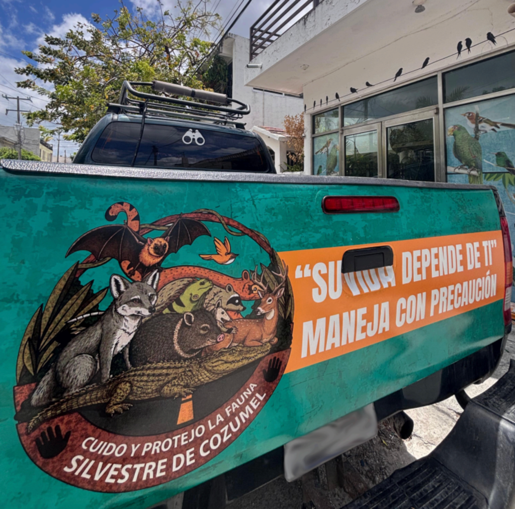 Camioneta con mensaje sobre la fauna silvestre de Cozumel. Cortesía: Rafael Chacón.