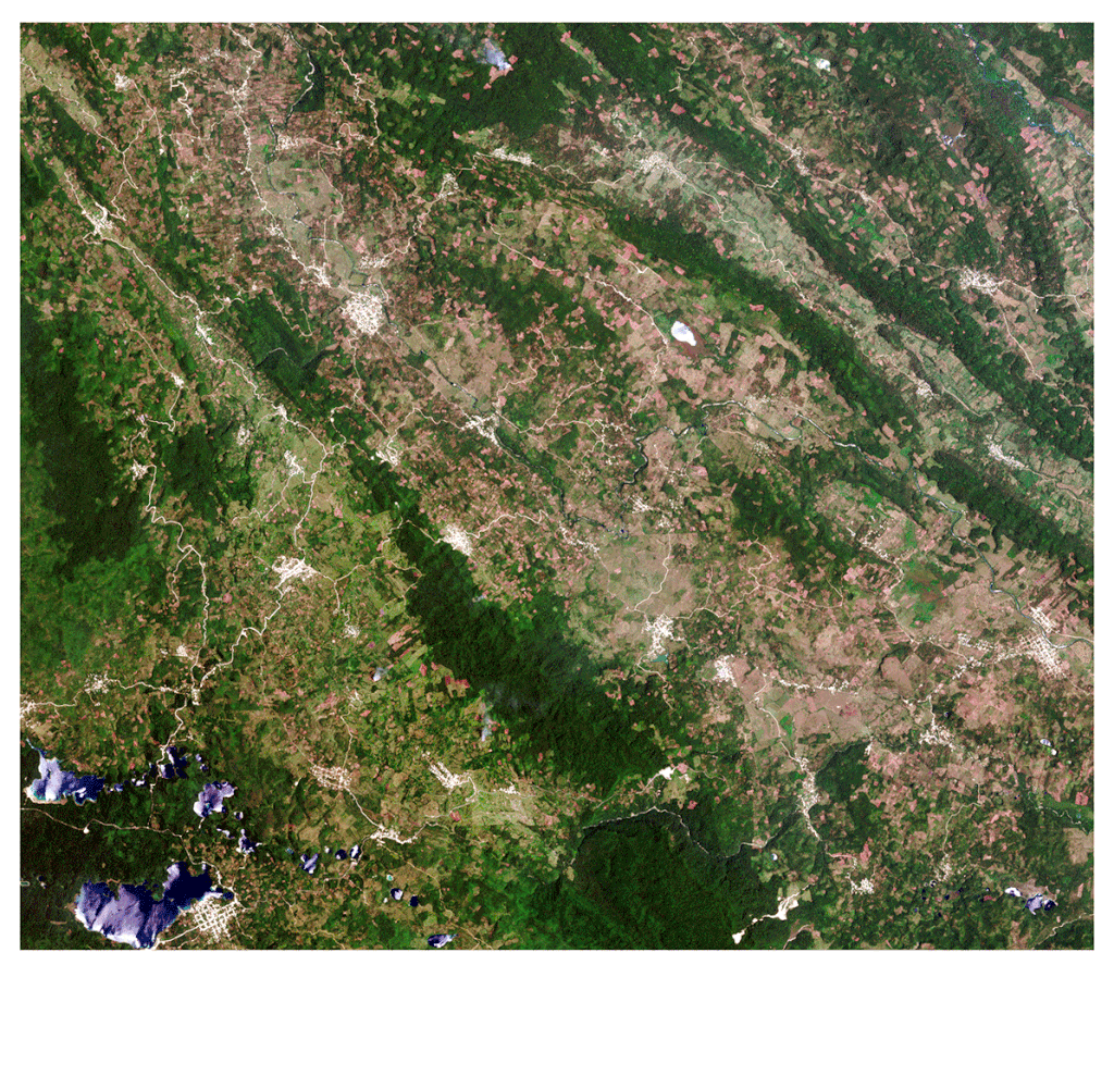 Mapa detallado de la cobertura terrestre que muestra los bosques en el estado de Chiapas, en el sur de México. Créditos: European Space Agency