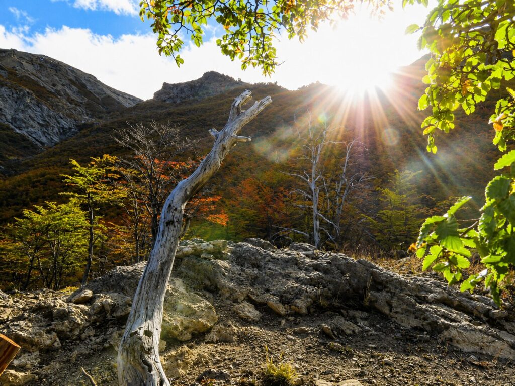 Reserva Nacional Lago Jeinemeni. Créditos: Jǒzepa Benčina.