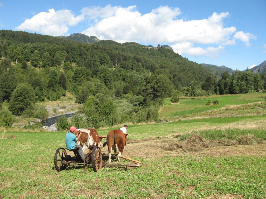XI Congreso Latinoamericano de Agroecología. Créditos: Sociedad Científica Chilena de Agroecología (SOCLA)