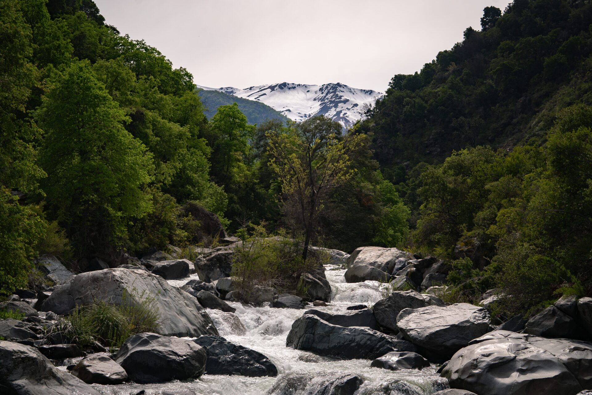 OPINIÓN | Diez años del Derecho Real de Conservación: celebrando una conservación sensible e inclusiva
