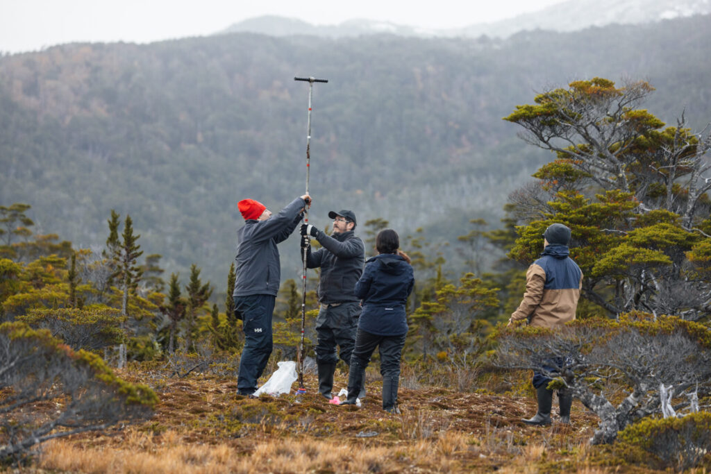 Turberas de Cabo Froward almacenan hasta 3 veces más carbono que los bosques del sector. Créditos (CC-BY): Diego Nahuel Diaz.