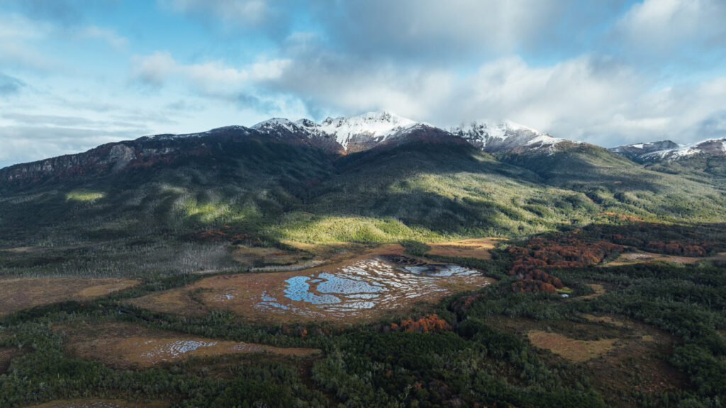 Turberas de Cabo Froward almacenan hasta 3 veces más carbono que los bosques del sector. Créditos (CC-BY): Diego Nahuel Diaz.