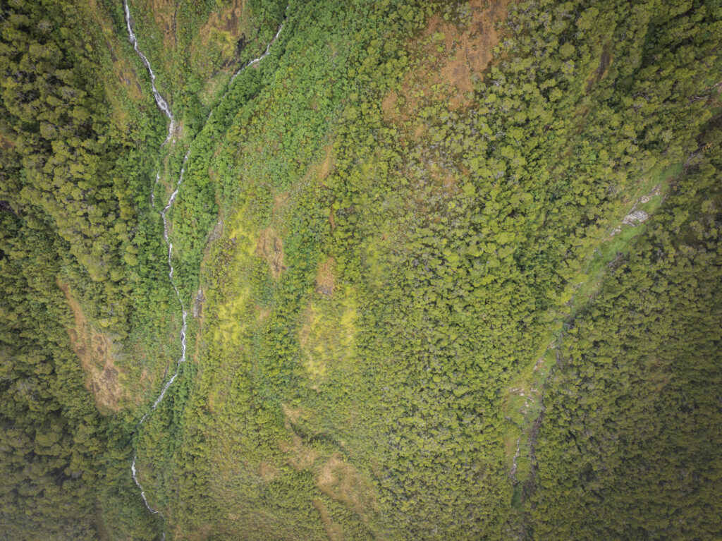 Turberas de Cabo Froward almacenan hasta 3 veces más carbono que los bosques del sector. Créditos (CC-BY): Eduardo Hernández.