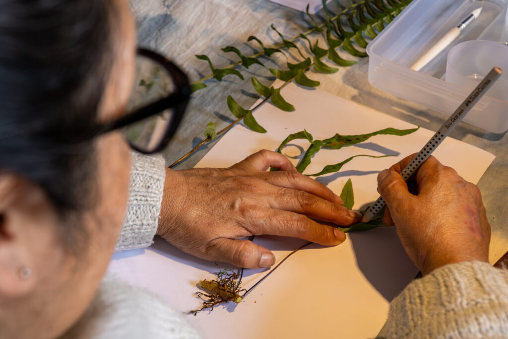El proceso creativo de plasmar la flor en futuros diseños de los choapinos. Créditos: James Alfaro