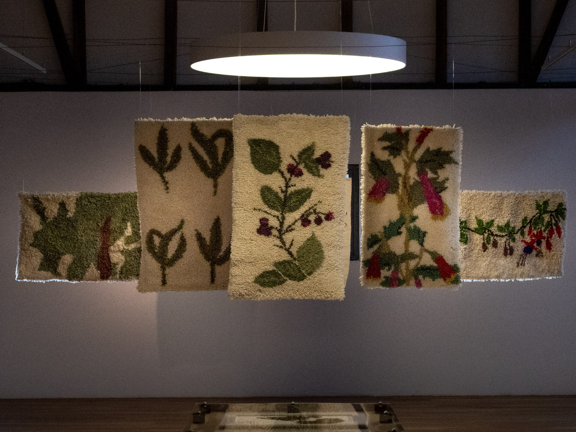Botánica, tintes y saberes rurales de la Patagonia: Ocho artesanas exhiben colección de choapinos inspirados en el patrimonio natural local