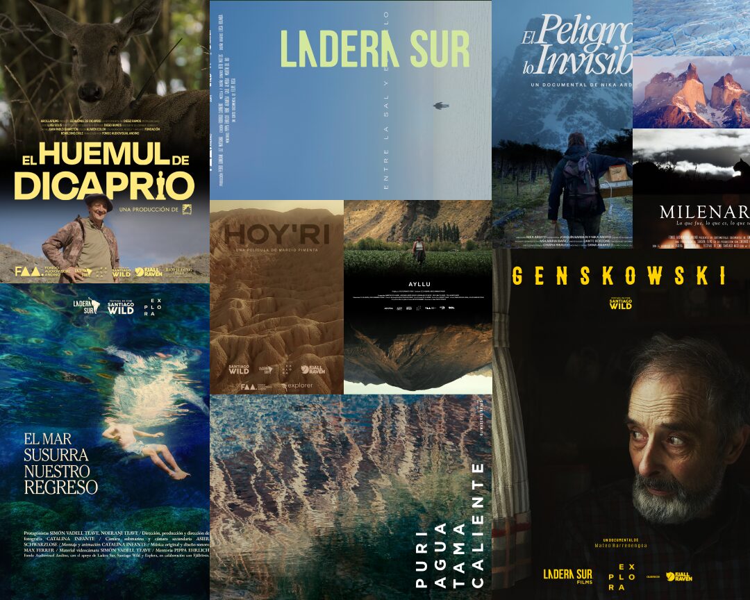 ¡Ya los puedes ver todos! Cortos audiovisuales del Fondo Audiovisual Andino están disponibles en YouTube
