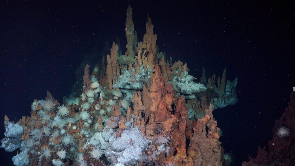 Se han descubierto dos nuevos campos de fuentes hidrotermales en una de las zonas menos exploradas del océano Atlántico: el sistema mega transformante y zona de fractura de Doldrums. Este extenso sistema tectónicamente activo atraviesa la dorsal mesoatlántica, que forma la cadena montañosa más larga del mundo. Estos campos son poco comunes debido a sus sistemas híbridos de circulación de fluidos, que combinan la descarga volcánica convencional con la serpentinización, una reacción química que se produce cuando las rocas del manto terrestre quedan expuestas al agua de mar. Créditos: ROV SuBastian, Schmidt Ocean Institute.