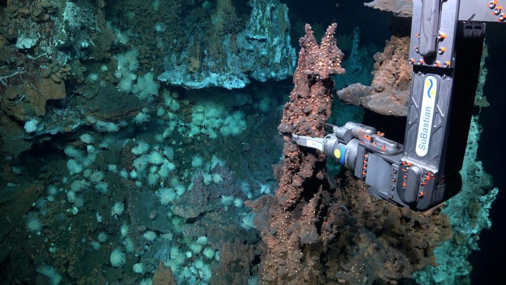 Los pilotos del ROV SuBastian recogen una muestra geológica de una chimenea hidrotermal a casi 3.890 metros (2,4 millas) de profundidad. Los científicos descubrieron dos nuevos campos de fuentes hidrotermales en una de las zonas menos exploradas del océano Atlántico: el sistema megatransformante y zona de fractura de Doldrums. Este extenso sistema tectónicamente activo atraviesa la dorsal mesoatlántica, que forma la cadena montañosa más larga del mundo. Estos campos son poco comunes debido a sus sistemas híbridos de circulación de fluidos, que combinan la descarga volcánica convencional con la serpentinización, una reacción química que se produce cuando las rocas del manto terrestre quedan expuestas al agua de mar. Créditos: ROV SuBastian, Schmidt Ocean Institute.