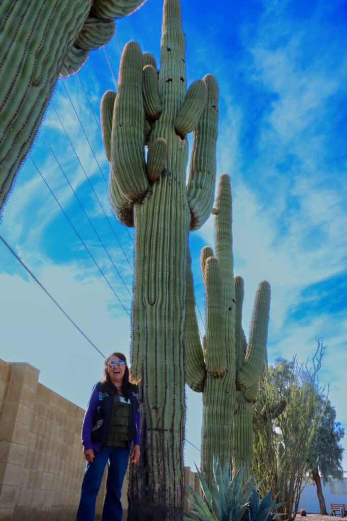 Créditos: Desert Botanical Garden ,cortesía equipo XPP Copiapoa.