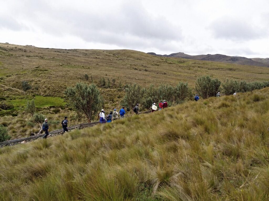 Defensores del agua durante un recorrido en los páramos de Quimsacocha. Créditos: cortesía FOA Azuay