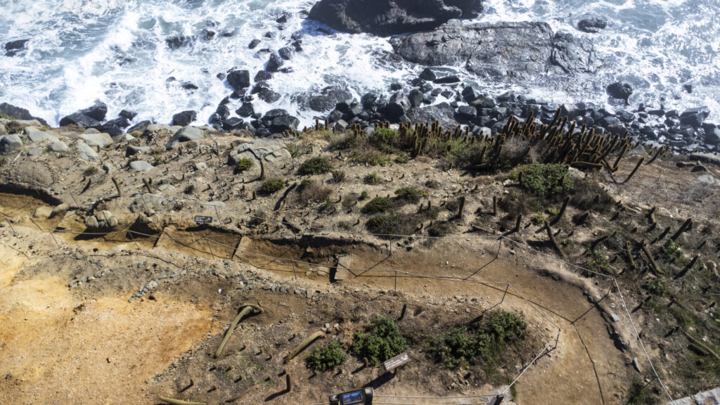 Plan de Restauración Ecológica del Parque Punta de Lobos. Créditos (CC-BY): @ElOtrooscar.