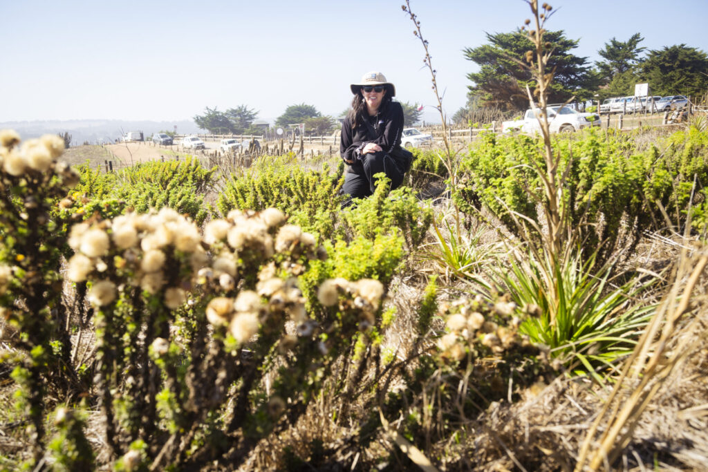 Plan de Restauración Ecológica del Parque Punta de Lobos. Créditos (CC-BY): @ElOtrooscar.