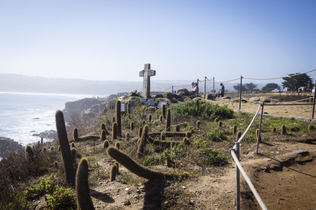 Plan de Restauración Ecológica del Parque Punta de Lobos. Créditos (CC-BY): @ElOtrooscar.