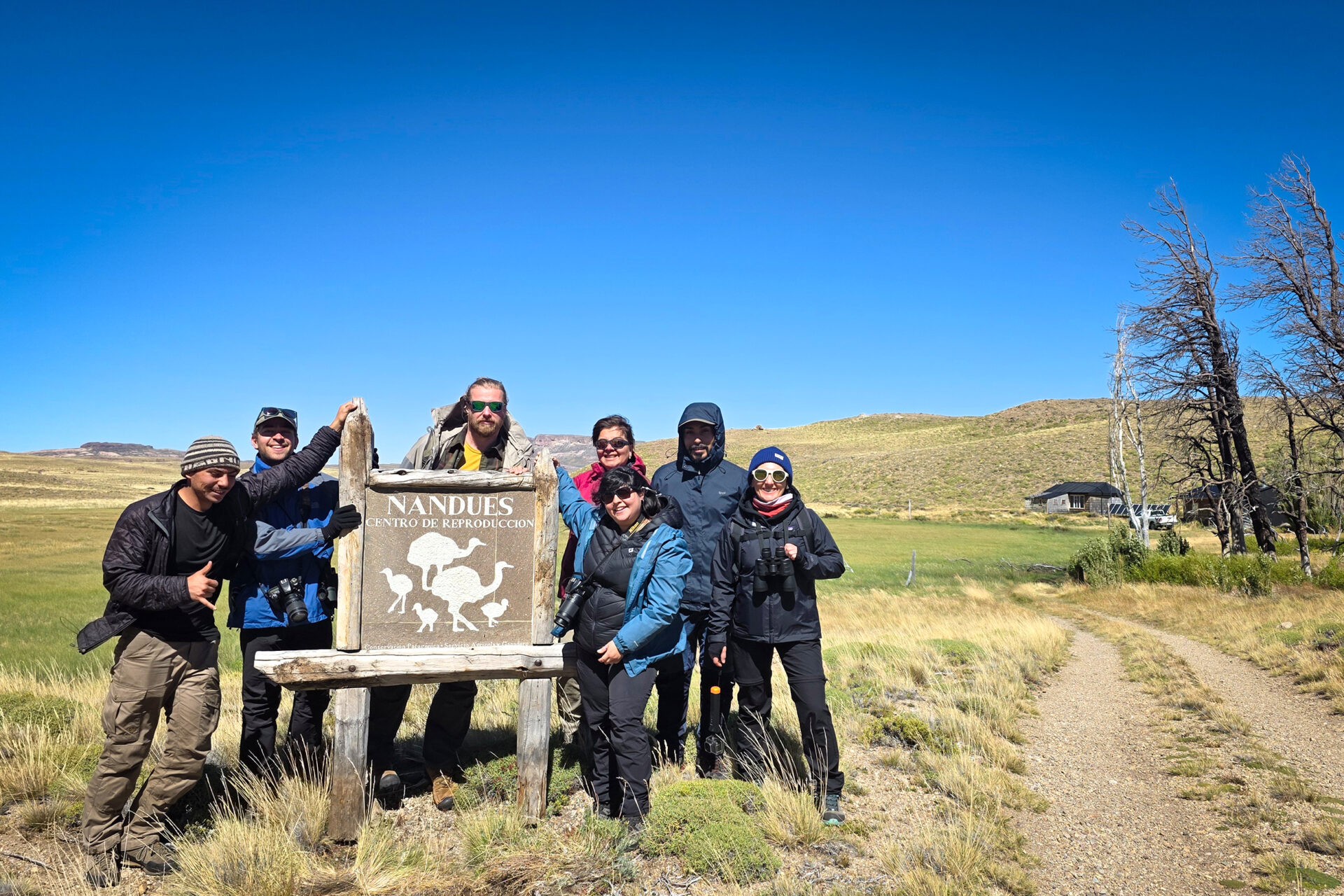 ¡Atención! Abren postulaciones para voluntarios interesados en la conservación del ñandú en el Parque Nacional Patagonia
