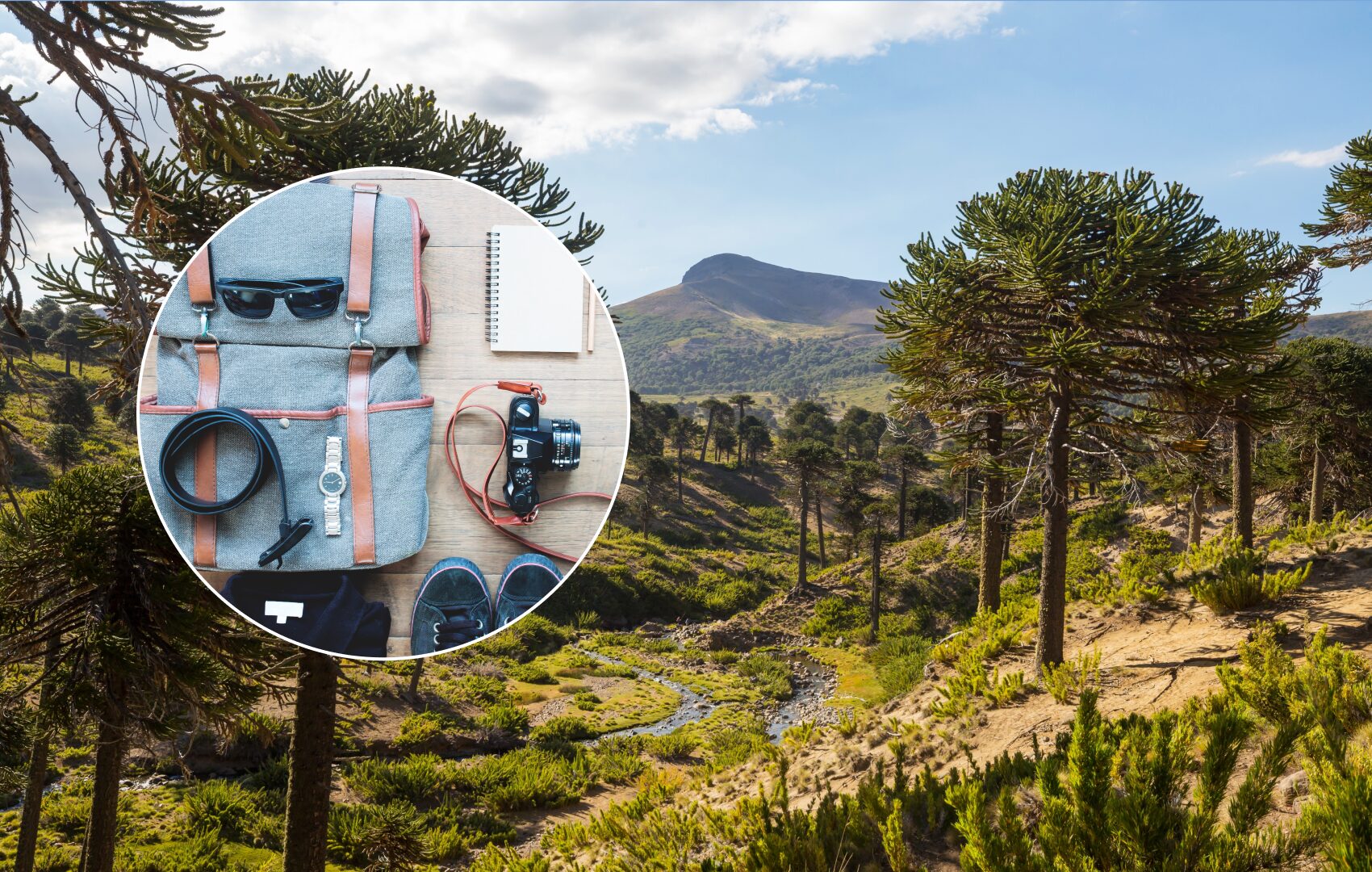 ¿Te vas de viaje? Cómo elegir el equipaje para tu próxima escapada a recorrer la naturaleza de Chile 