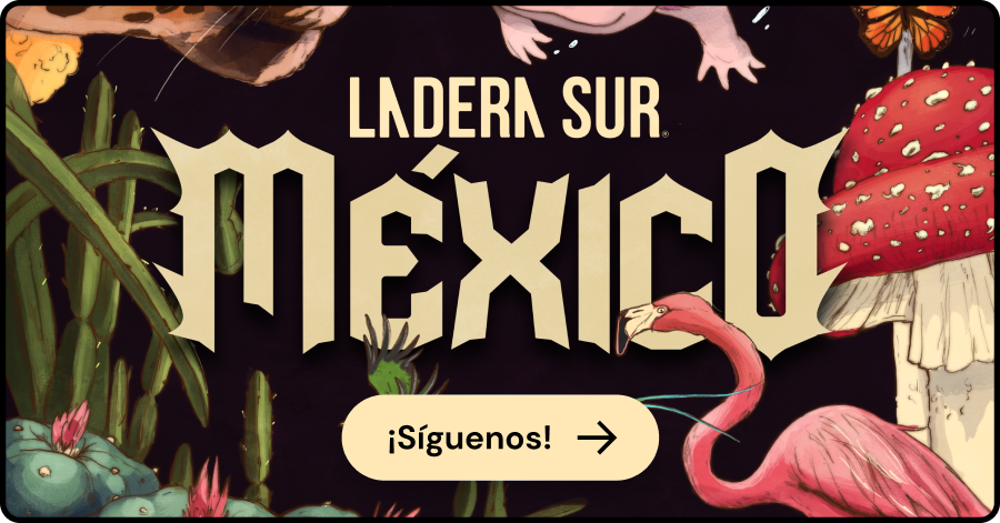 banner mex