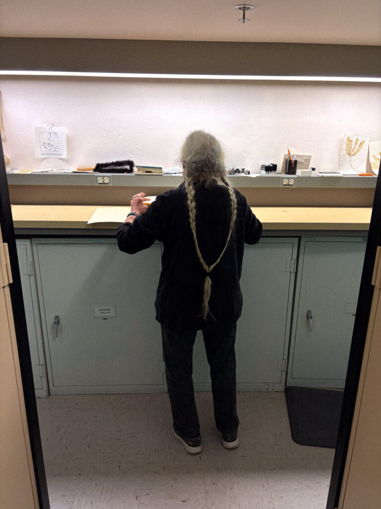 Kathy Ann Miller, con sus características largas trenzas. Créditos: Fotografías de la colección del University Herbarium, UC Berkeley