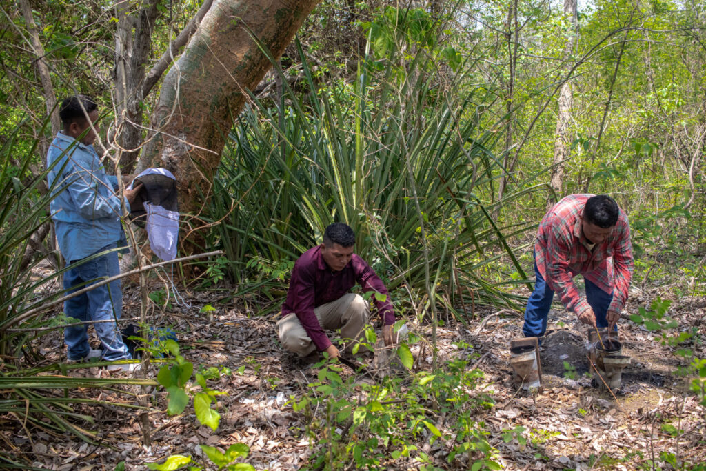 De las siete cooperativas comunitarias creadas durante el proyecto del FIAES, solo el grupo de El Mango continúa vigente. Pero incluso ellos han visto disminuir el número de miembros: “es un tema de ingresos”, dice William Recinos (a la izquierda). Créditos: Jorge Rodríguez.
