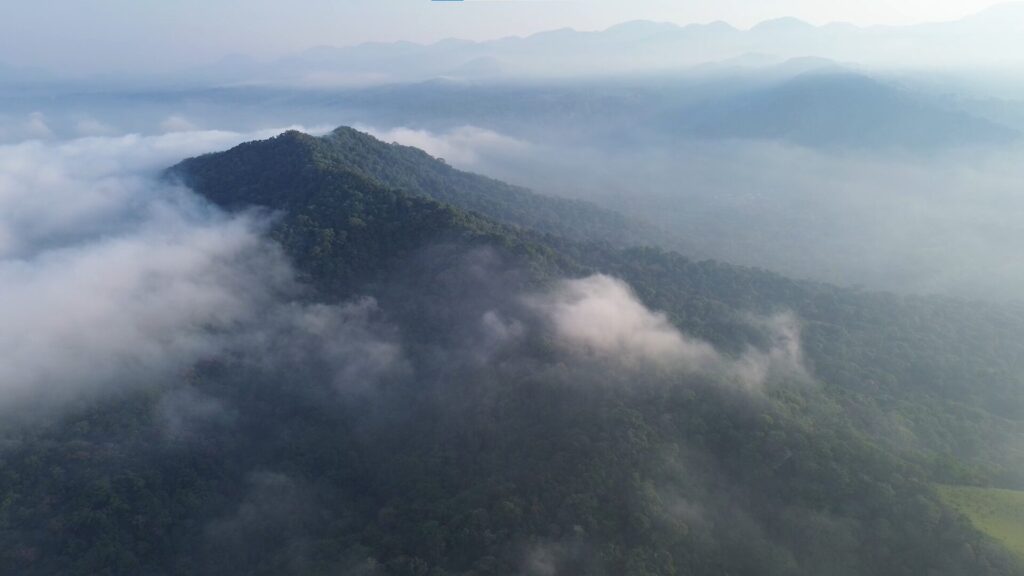 Región de Los Tuxtlas, en Veracruz. Su nombre proviene del náhuatl toxtli, que significa "conejo" o "pájaros amarillos". Créditos: Jorge Ramos Luna