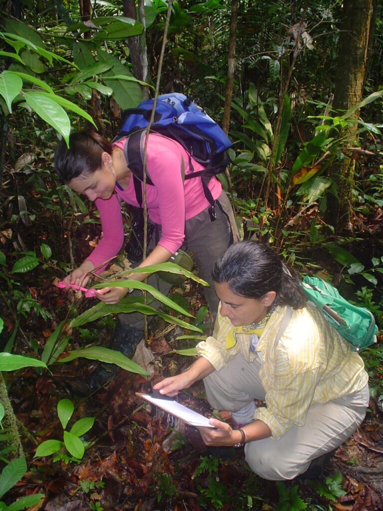 Julieta haciendo trabajo en la Selva Lacandona. Cortesía: Julieta Benítez Malvido