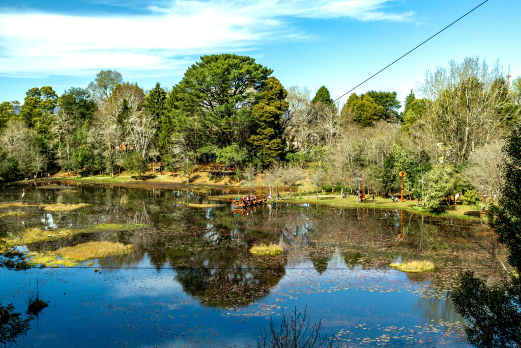 Laguna de la Flor de Loto, Valdivia. Créditos: Matías Ignacio Macaya Fajardo,  fundación Kennedy
