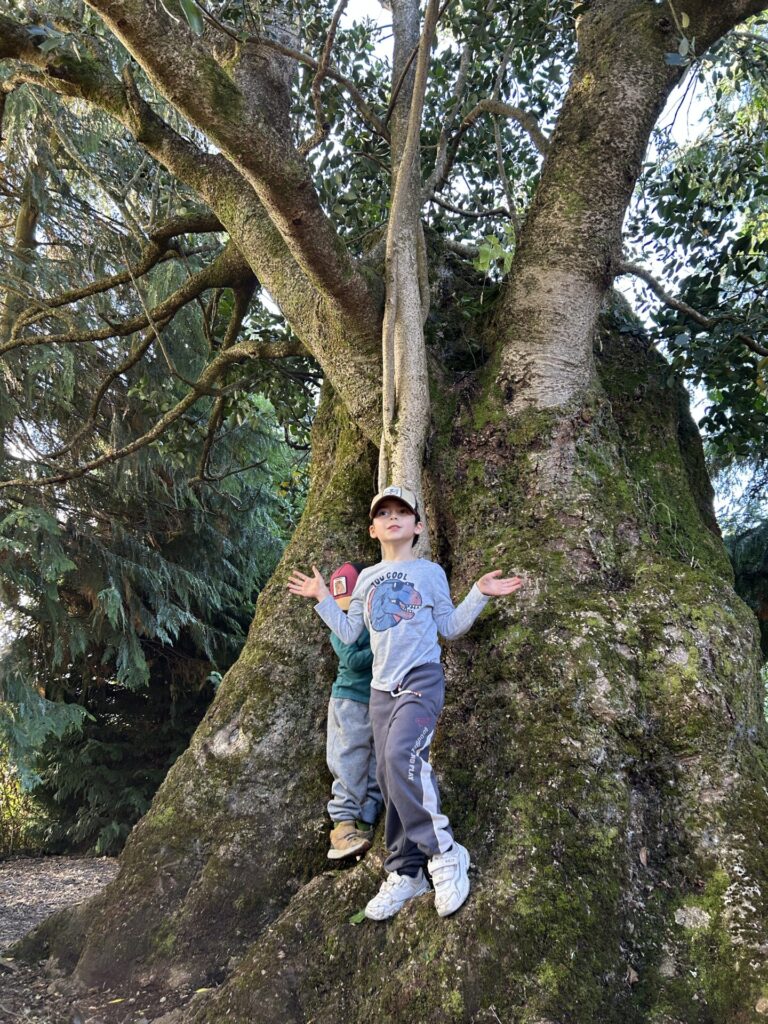 Luciano, el pequeño hijo con TEA de María Jesús Aguirre. Créditos (CC-BY): María Jesús Aguirre.