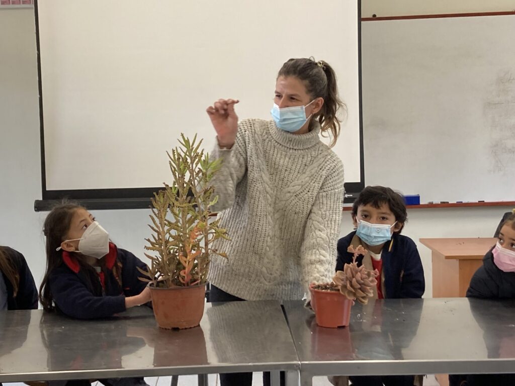 Actividades y talleres realizados en Huelquén por el Jardín La Higuera (@higuera_plantas), fundado por María de los Ángeles Scheel Martínez, psicóloga infanto-juvenil, y una amiga. Créditos (CC-BY): María de los Ángeles Scheel Martínez.