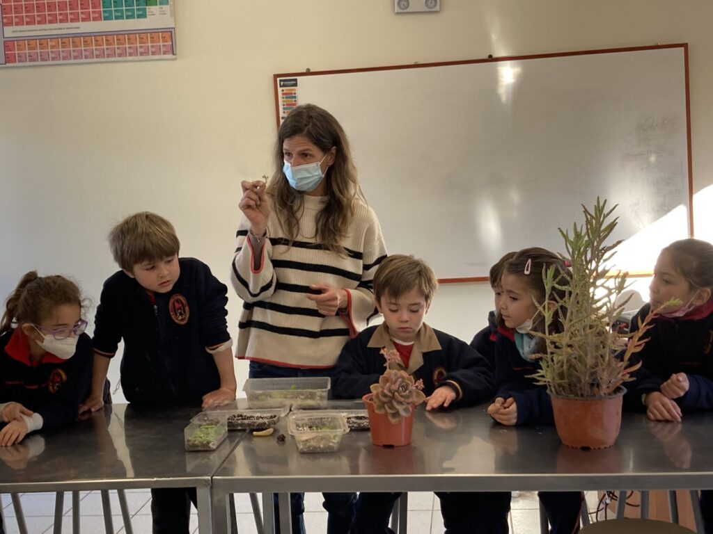Actividades y talleres realizados en Huelquén por el Jardín La Higuera (@higuera_plantas), fundado por María de los Ángeles Scheel Martínez, psicóloga infanto-juvenil, y una amiga. Créditos (CC-BY): María de los Ángeles Scheel Martínez.