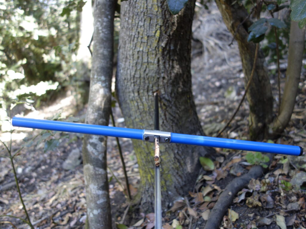 Muestreo dendrocronológico en peumos del Parque Nacional La Campana, región de Valparaíso. Créditos: Isadora Schneider.