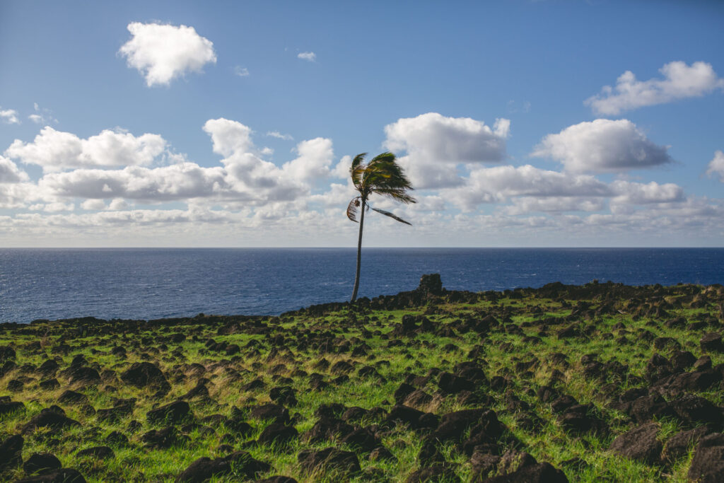 Rapa Nui. Créditos (CC-BY): Amelia Ortuzar.