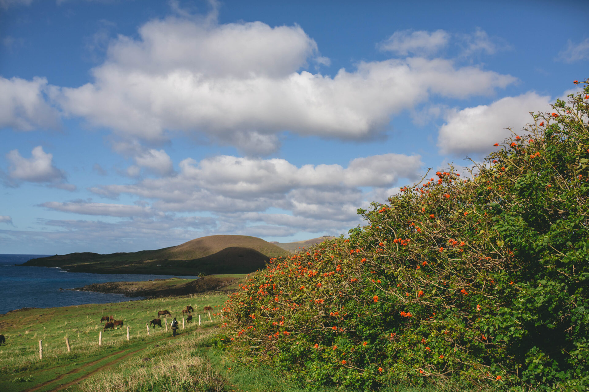 Rapa Nui más allá de los moai, explorando la isla a través del turismo de aventura