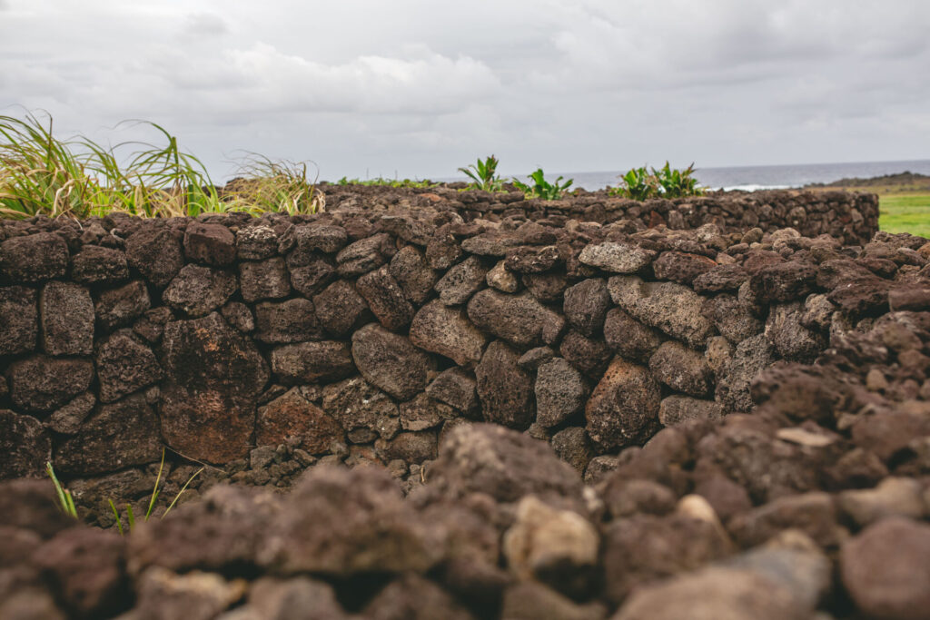 Rapa Nui. Créditos (CC-BY): Amelia Ortuzar.