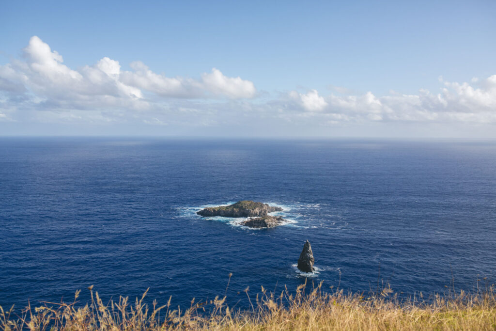 Rapa Nui. Créditos (CC-BY): Amelia Ortuzar.