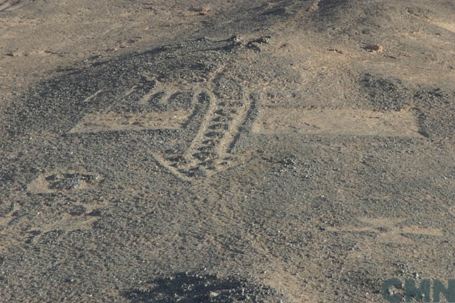 Geoglifos de Pintados. Créditos (CC-BY): Fundación Geoglifos de Tarapacá (FGT).