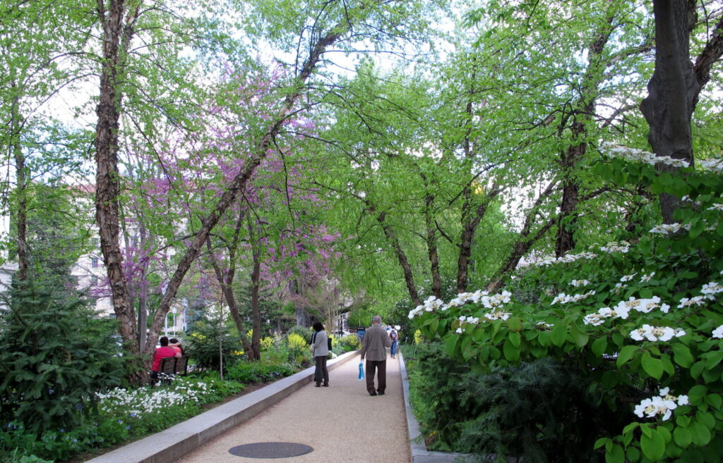 Jardín de polinizadores. Créditos: Smithsonian Gardens