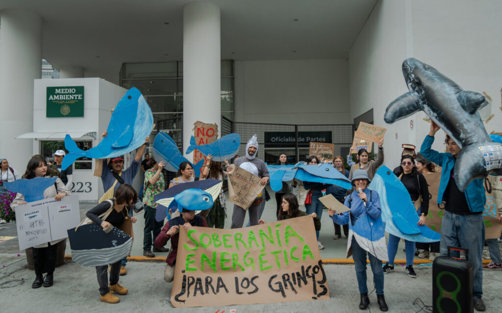 Pablo en la protesta "Ballenas o Gas" campaña socioambiental en México que enfrenta el Proyecto Saguaro de gas licuado, el riesgo para la biodiversidad del Golfo de California y la defensa de las comunidades locales. Créditos: Armando Vega