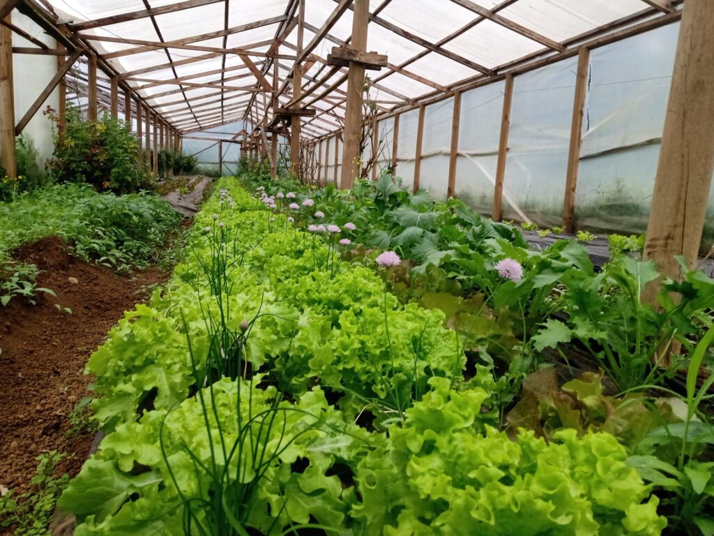 XI Congreso Latinoamericano de Agroecología. Créditos: Sociedad Científica Chilena de Agroecología (SOCLA)
