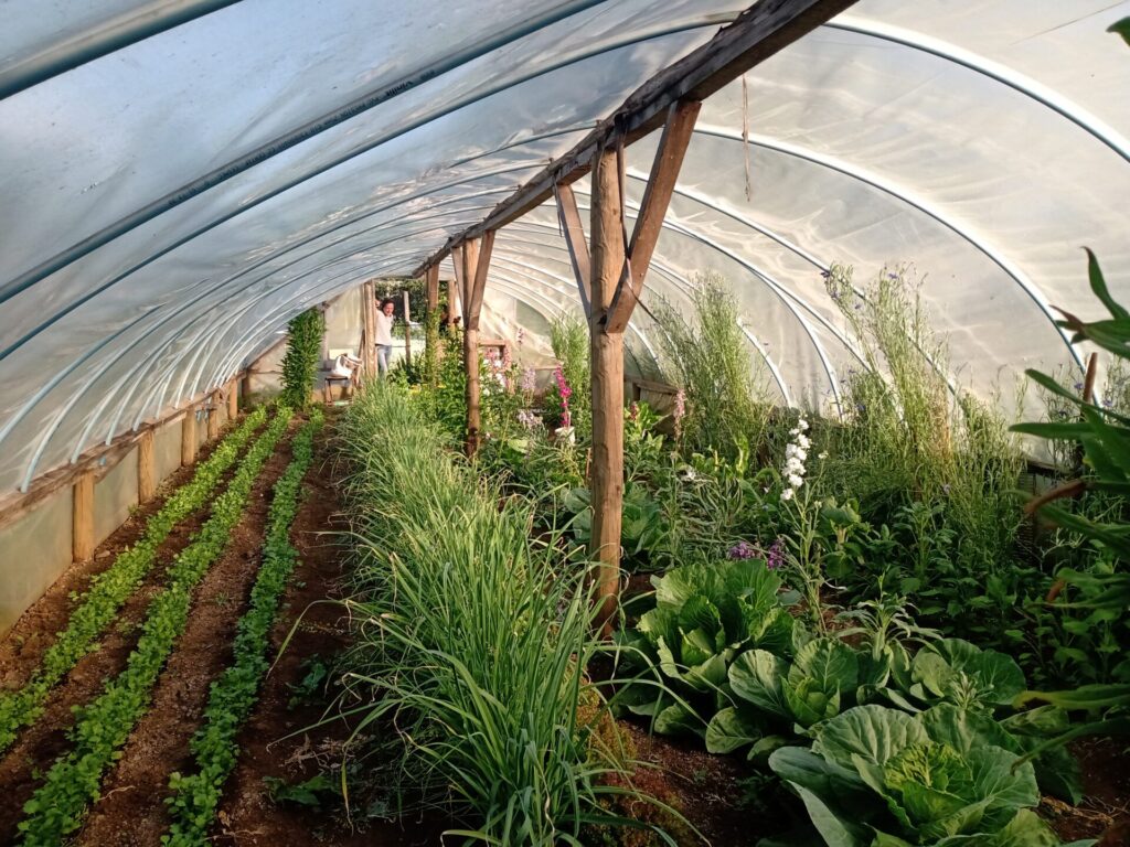 XI Congreso Latinoamericano de Agroecología. Créditos: Sociedad Científica Chilena de Agroecología (SOCLA)