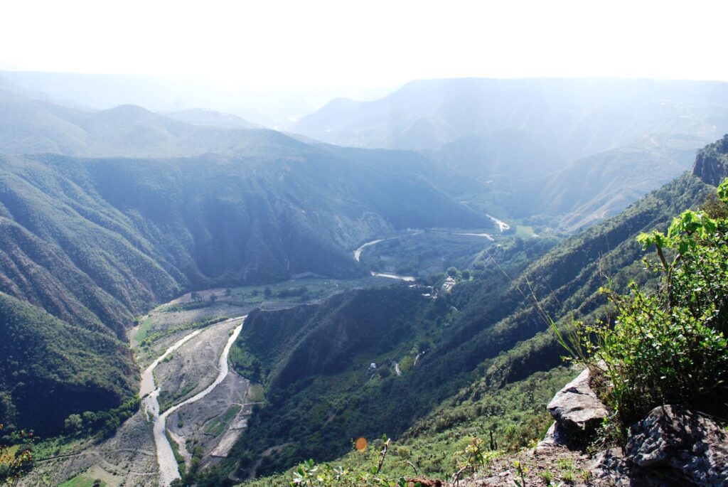 La investigación fue llevada a cabo en la Reserva de la Biósfera Barranca de Meztitlán, Hidalgo. Créditos: Thelmadatter (Wikimedia Commons)