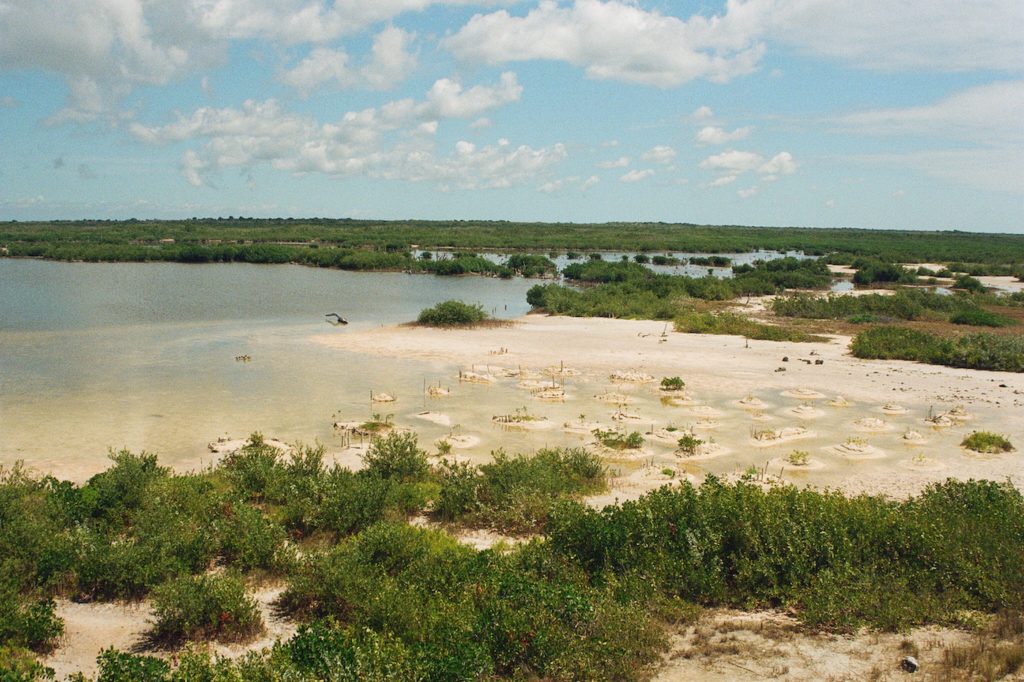 Parque Ecológico Estatal Laguna Colombia. Cortesía: Rafael Chacón.