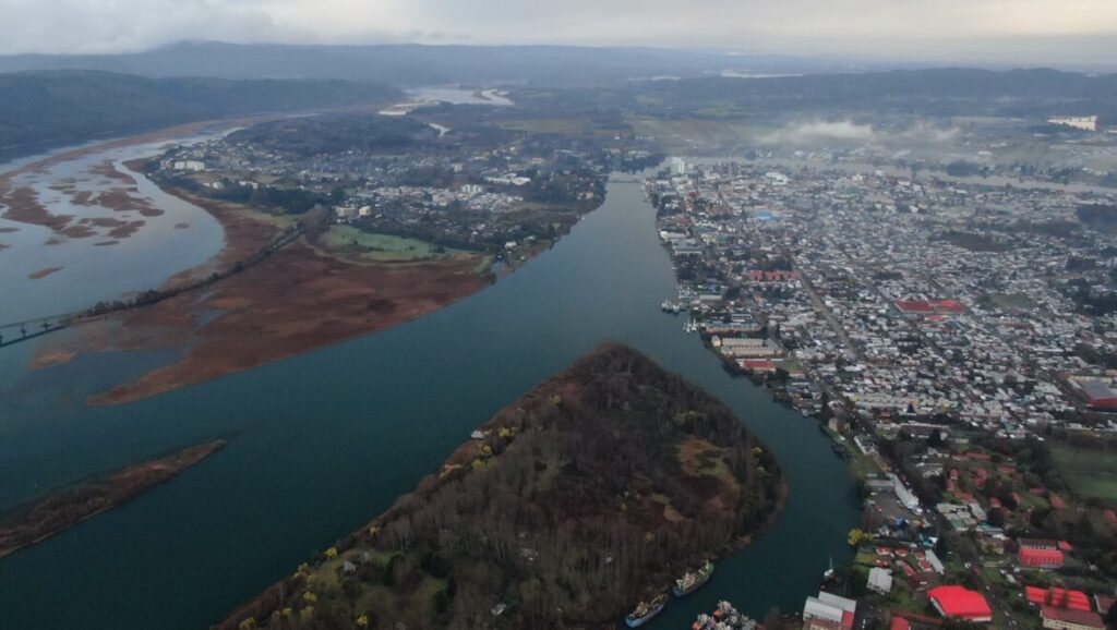 Créditos: cortesía de Centro de Humedales Río Cruces de la Universidad Austral de Chile 
