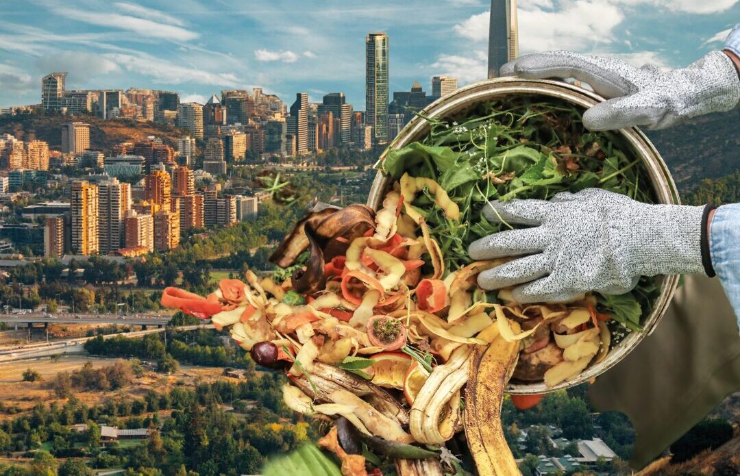 ¡Imperdible! Llega “Somos Naturaleza”: un ciclo de charlas gratuito para reflexionar sobre la naturaleza en la ciudad