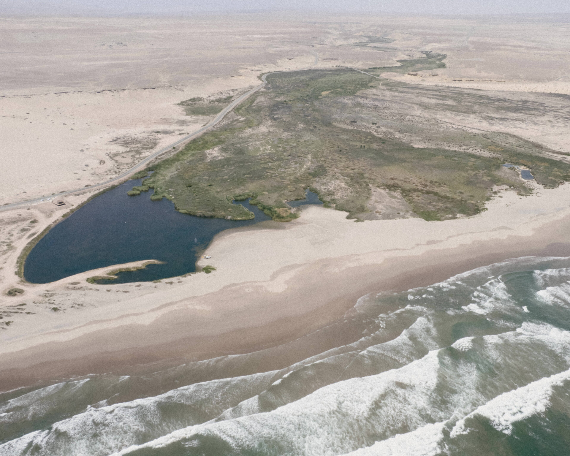 Aprender a leer un paisaje herido: cómo las especies vegetales sostienen la vida de los pueblos Colla, Diaguita y Chango en el norte de Chile