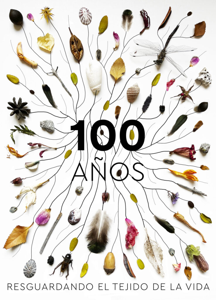 2dolugar_María José Manzur