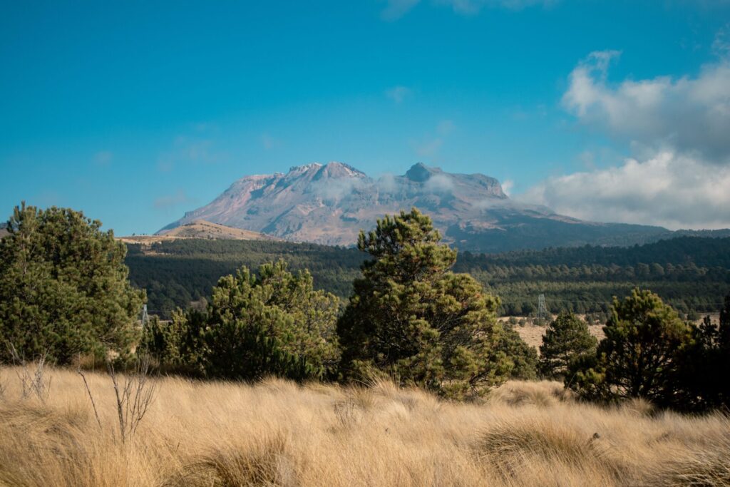 Volcán Iztaccíhuatl, a su alrededor, zacatonal. Créditos: Astrid Sosa